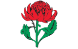 ANZAN logo